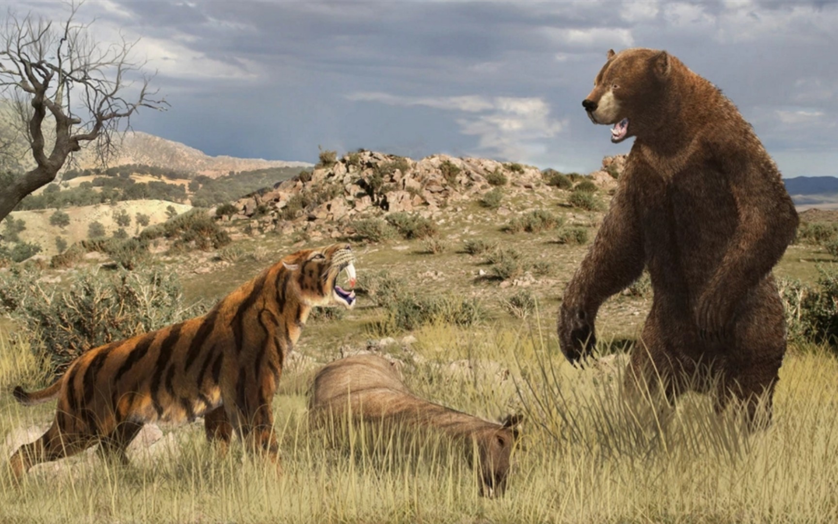 我的世界动物大乱斗:剑齿虎对战短面熊_哔哩哔哩bilibili