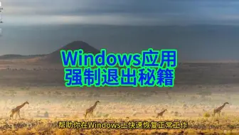 Windows应用停止响应怎么办？四种快速强制退出方法教程