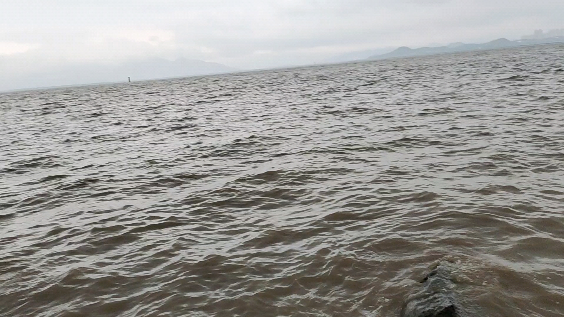 晚上来深圳湾公园吹海风