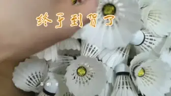 Download Video: 亚五太棒了 手慢无