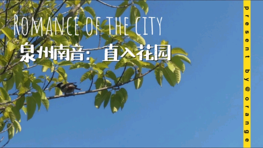 泉州南音直入花园