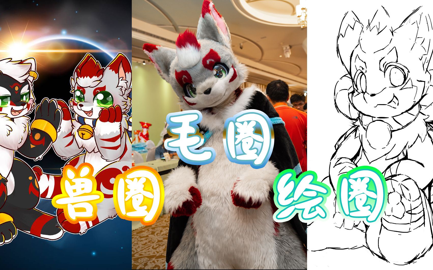 【Furry科普】兽圈 furry是什么 有哪些分支 入坑前需要了解和注意什么哔哩哔哩bilibili