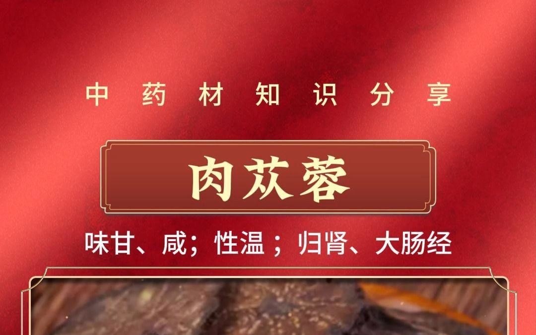 肉苁蓉,药采够中药饮片采购商城注册邀请码DY888哔哩哔哩bilibili