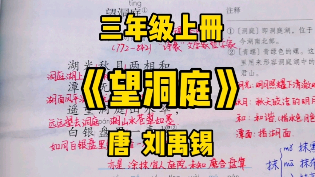 三年级语文上册:古诗三首之《望洞庭》跟随作者一起去欣赏洞庭湖别样的美吧!哔哩哔哩bilibili