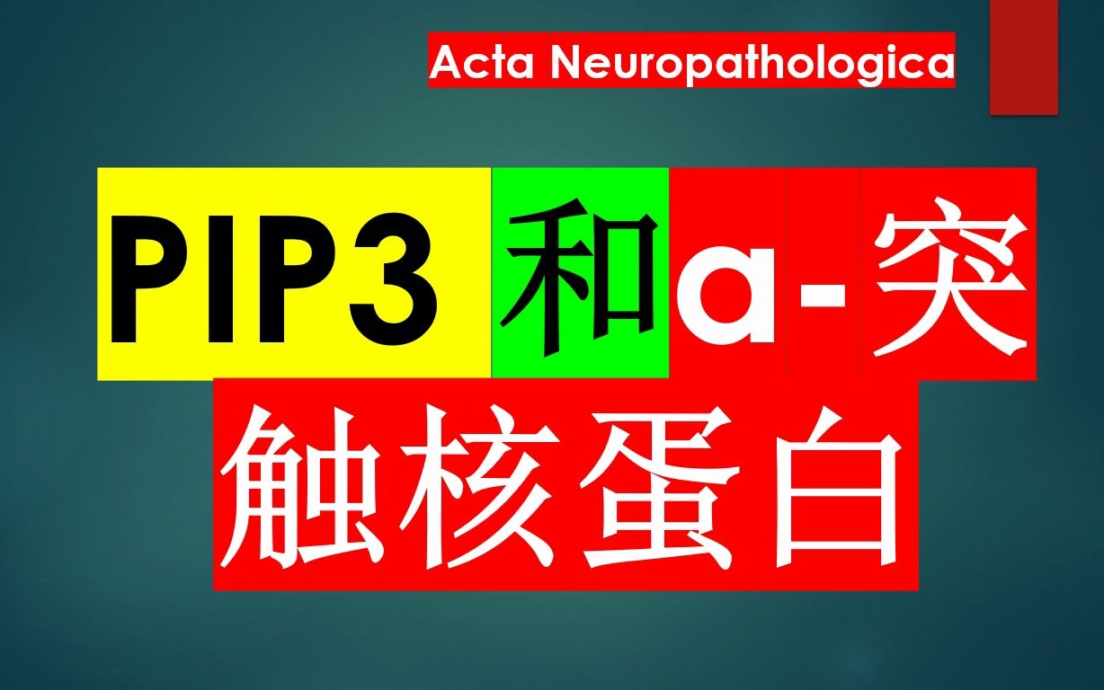 Acta Neuropathologica—脂质分子PIP3是驱动ynuclein沉积和形成大分子纤维聚集体的重要因子哔哩哔哩bilibili