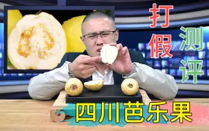 Download Video: 打假测评，奶油芭乐真的好吃吗？山东小伙惹怒了广西人