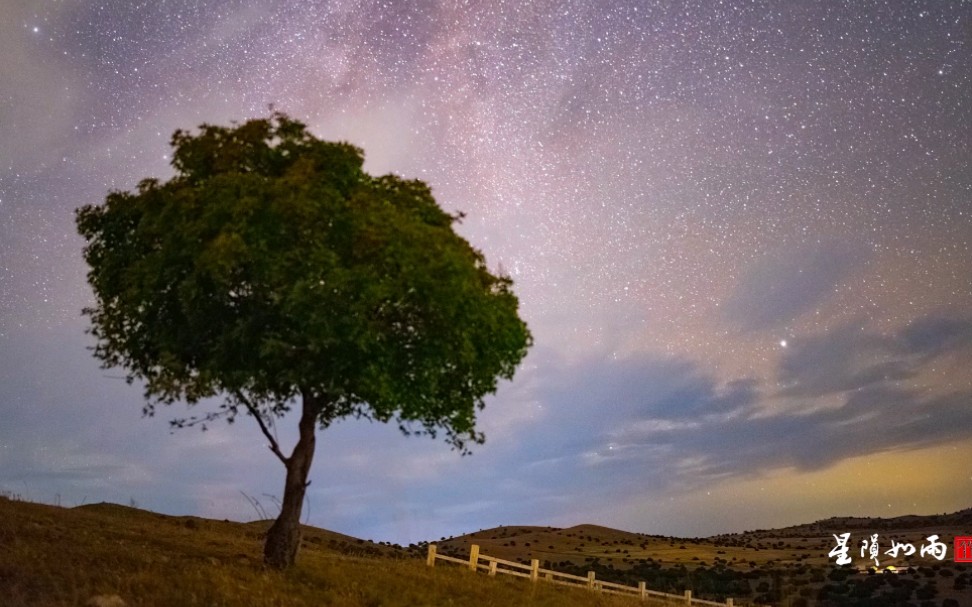 五角枫星空延时