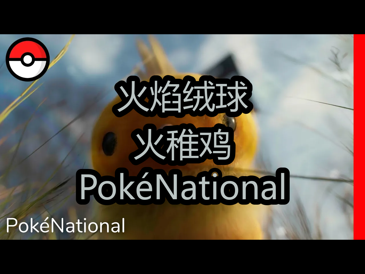 【中配】火焰绒球:火稚鸡 | Pok㩎ational  Elious Entertainment哔哩哔哩bilibili