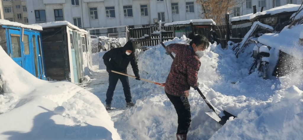 东北林区,下了两天大雪,老姑家院子里全是雪,今天帮她来推雪.哔哩哔哩bilibili