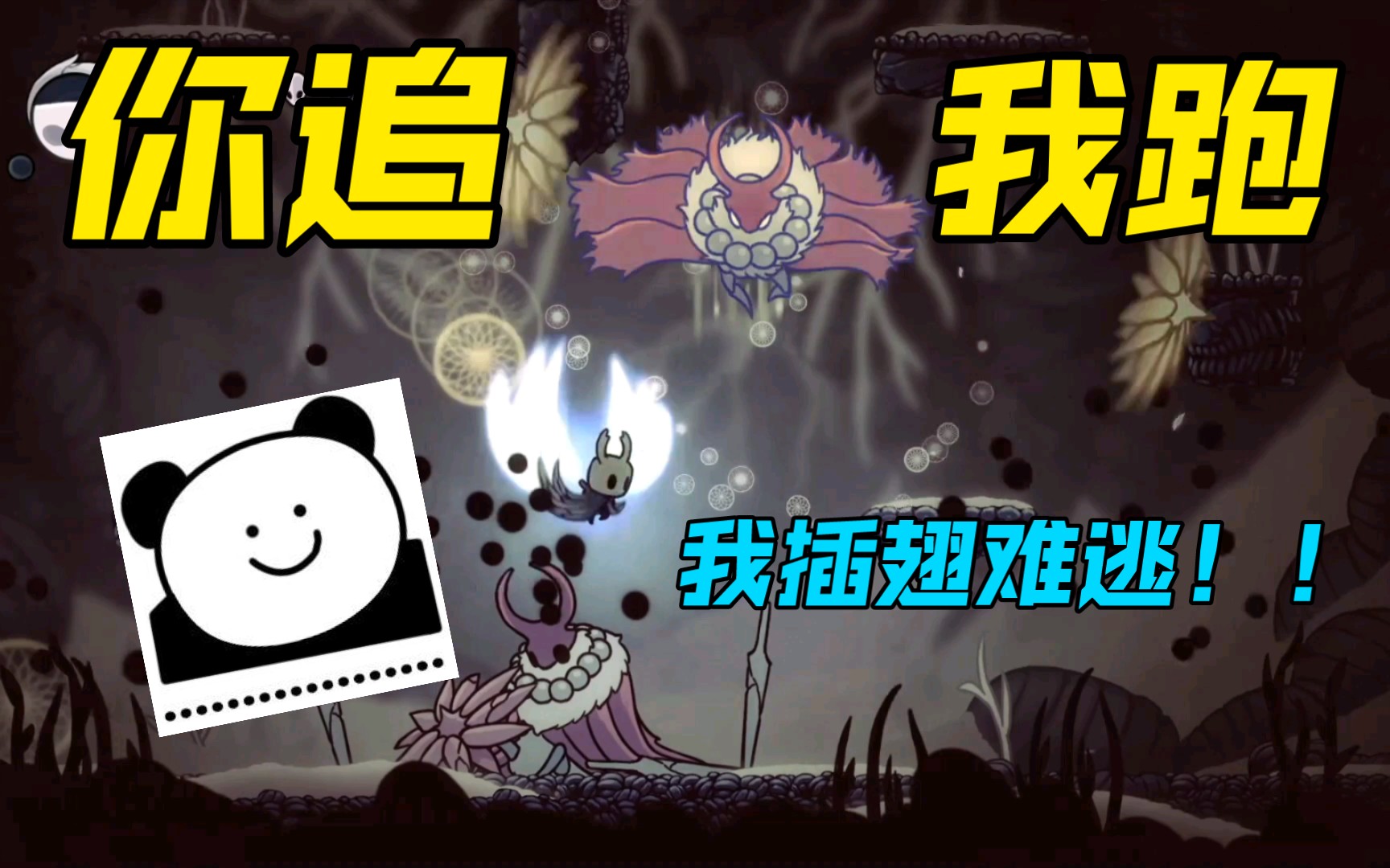 空洞骑士受苦day5战士墓马科斯