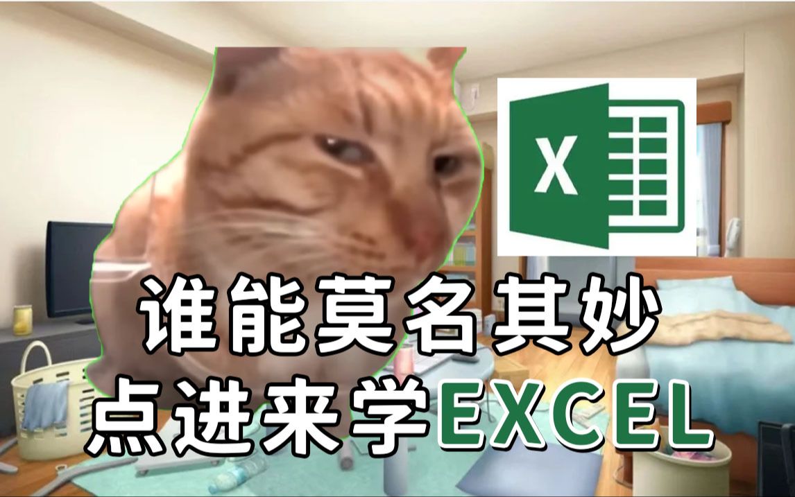 [图]【戴师兄】我奶奶都能学会！Excel保姆级教程！