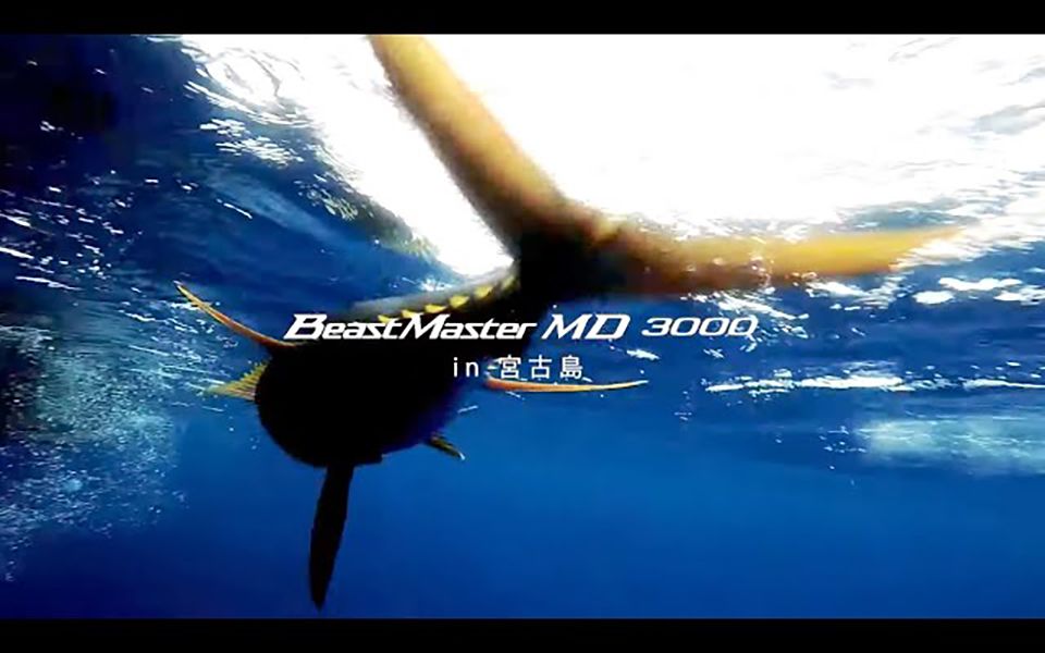 SHIMANO 禧玛诺 电动轮 MD 3000 in 宫古岛哔哩哔哩bilibili