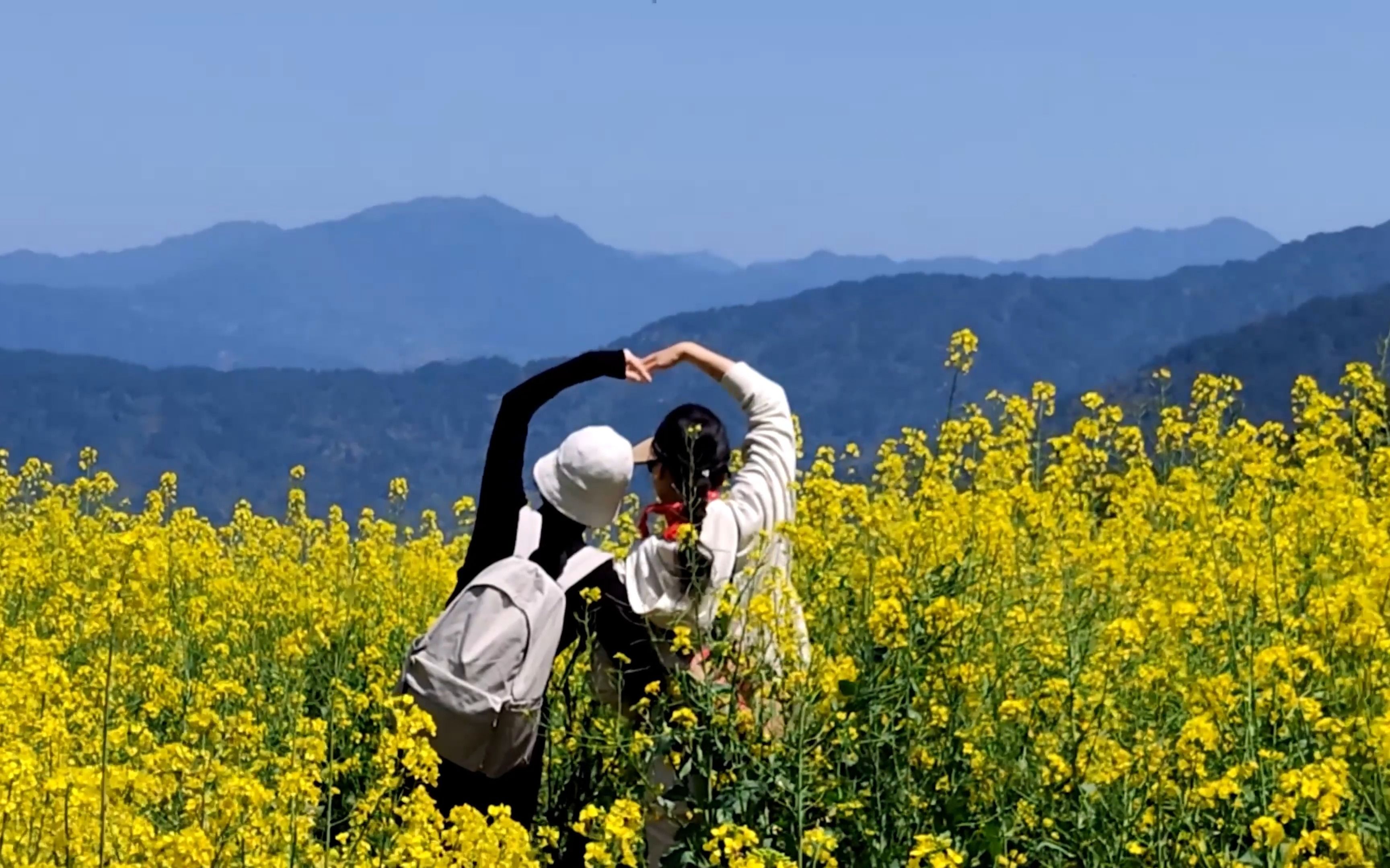 阳春三月 花海遨游“莫春者,春服既成, 冠者五六人,童子六七人, 浴乎沂,风乎舞雩, 咏而归”哔哩哔哩bilibili