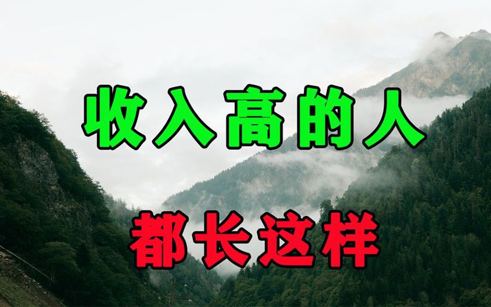 一个人的形象,往往决定了他的收入水准!那些高收入的人都长这样哔哩哔哩bilibili