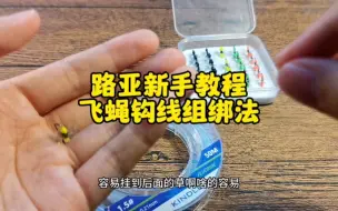 Download Video: 微物路亚之飞蝇钩线组绑法教学