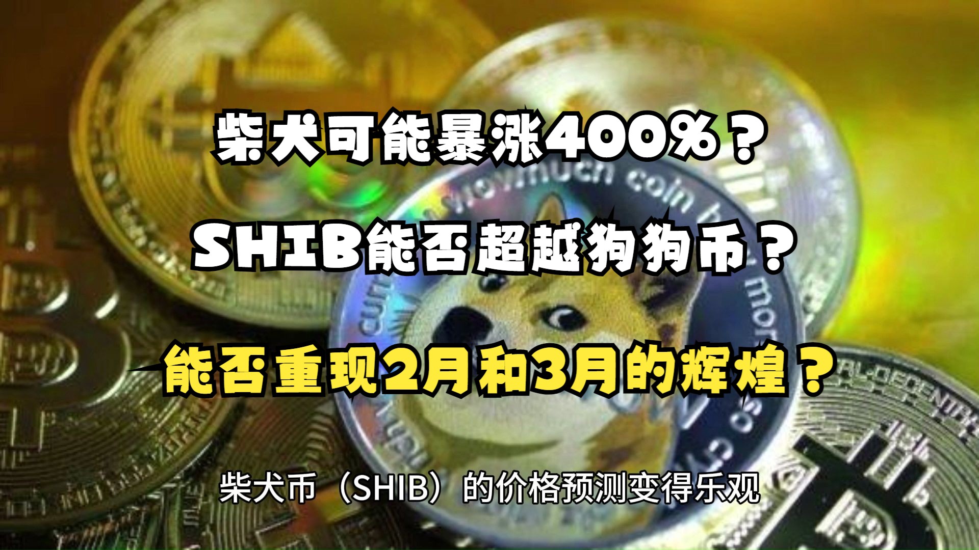 如何评估2万狗狗币的投资价值？