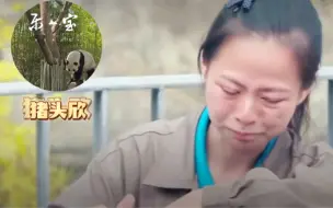 Télécharger la video: 熊猫乐宝并不是什么便宜女婿，在国内有个爱他至深的虞奶妈