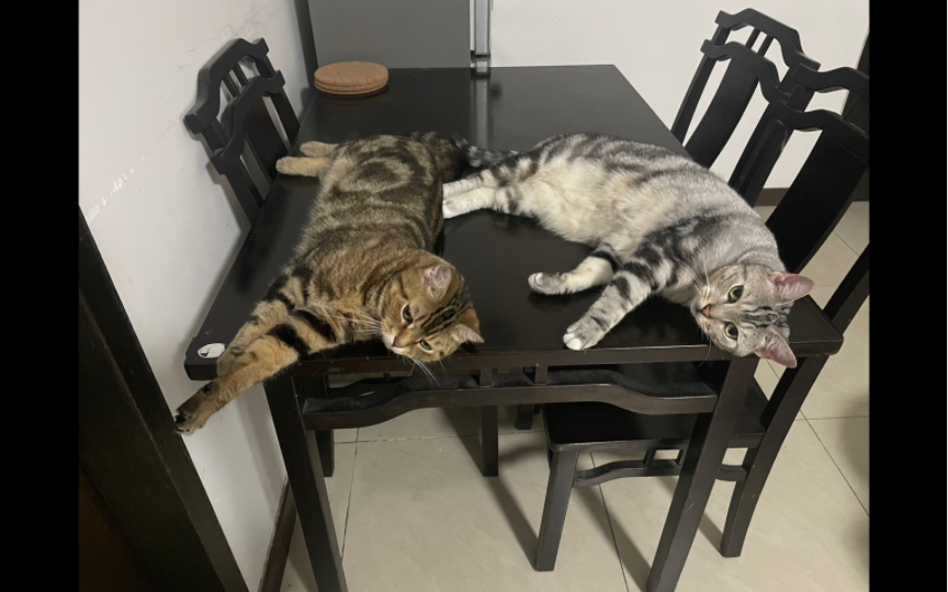 犯罪现场被抓包