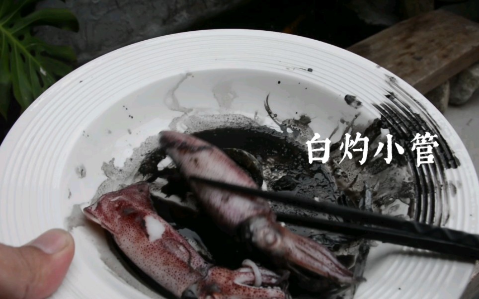 海边人教你怎么吃小鱿鱼,白灼永远的神,一肚子墨水你敢吃吗