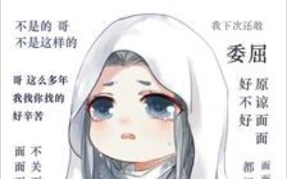 巍澜『微信』—面面:“哥,云澜他欺负我!”哔哩哔哩bilibili