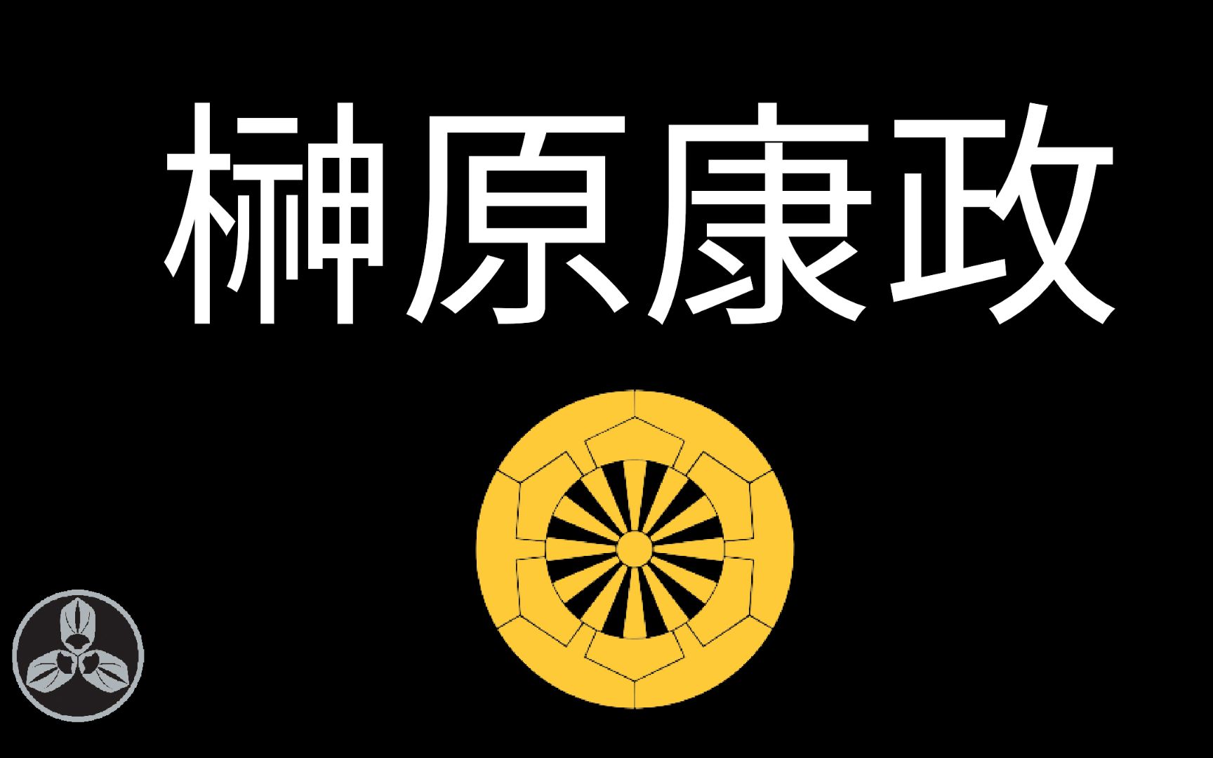 【兰爸爸说故事】德川四天王!!会打仗!会写字!写文章骂猴子!但却全身而退!政务能力强,出任幕府老中!最后却因毛囊炎而死!!日本战国武将录:...