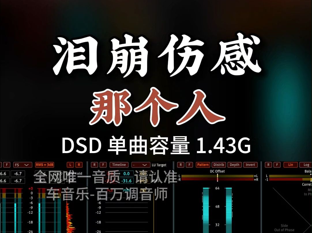 [图]泪崩伤感，唱哭了多少痴情人！魔音女声《那个人》DSD完整版1.43G，百万调音师专业录音棚制作，顶级hifi无损音质