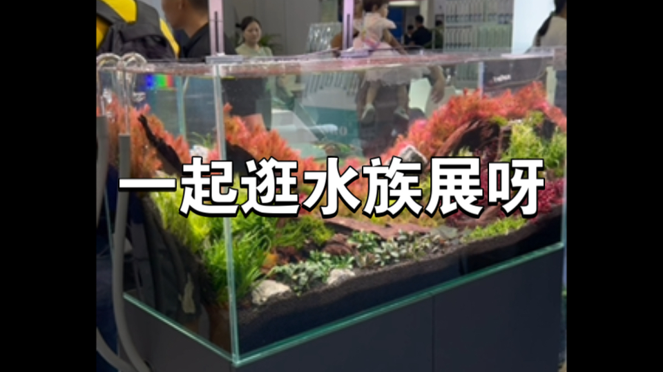 跟我一起逛广州中国国际宠物水族展览会哔哩哔哩bilibili