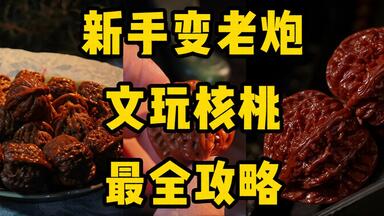 文玩核桃绕不开的品种--原树龙门涧_哔哩哔哩_bilibili