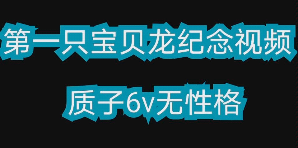 宝贝龙的诞生!6v新的神奇宝贝之路哔哩哔哩bilibili