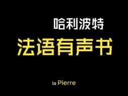 Скачать видео: 法语有声书 哈利波特 第一部 最后一章17章结局 字幕版