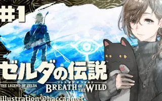 Botw 2 搜索结果 哔哩哔哩 Bilibili