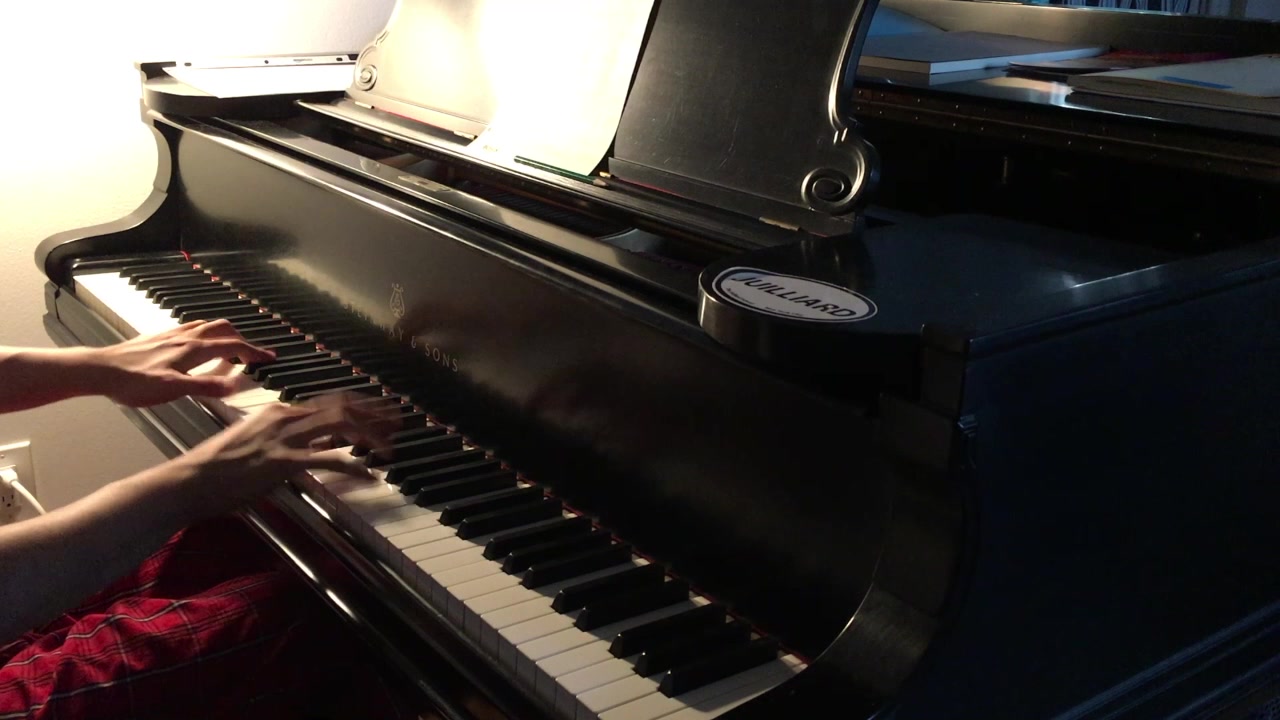 【布仔钢琴】air 鸟の诗