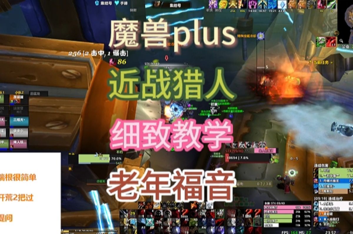 魔兽plus P2近战猎人教学,版本T0,老年福音哔哩哔哩bilibili