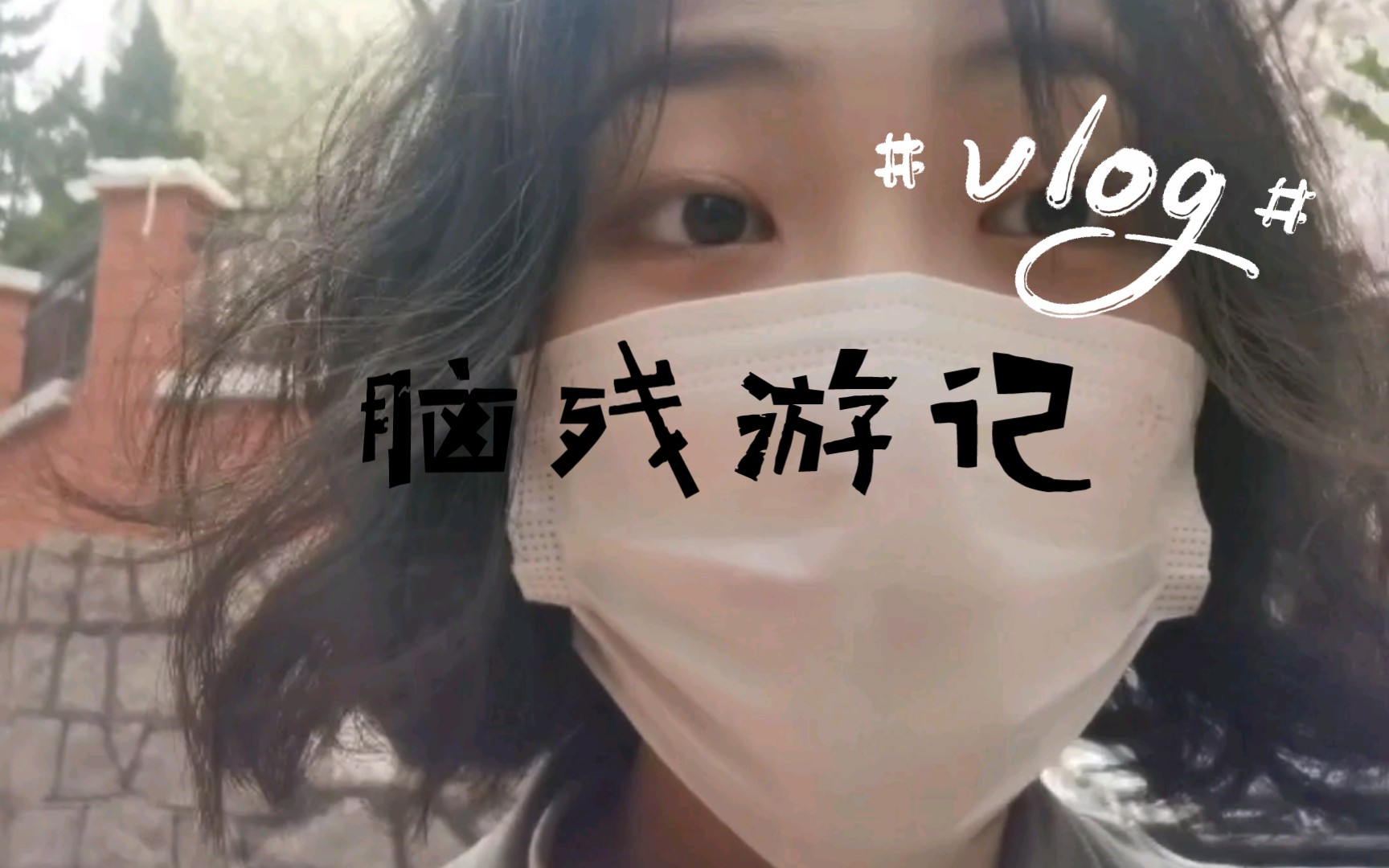 vlog║清明节脑残游记哔哩哔哩bilibili