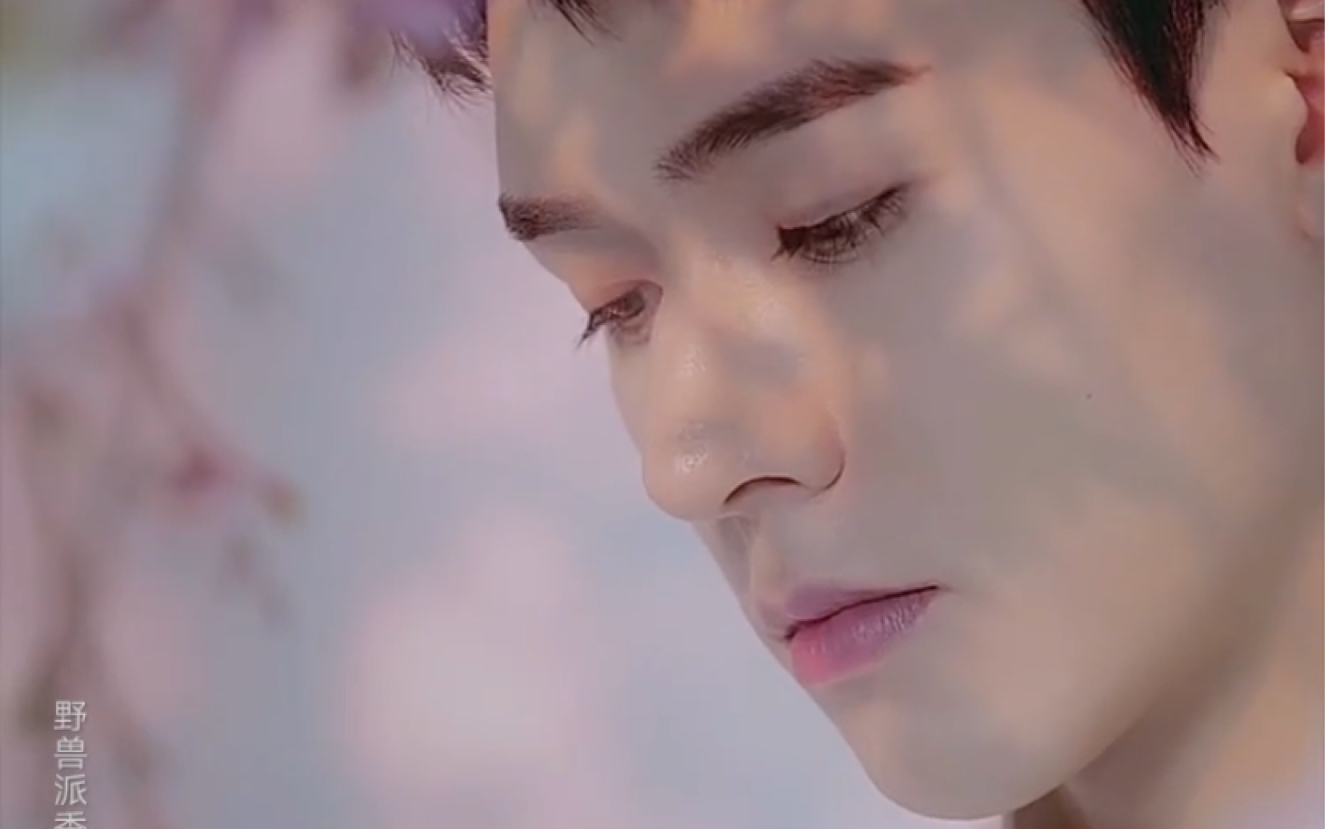 【龚俊x野兽派】樱花清酒扩香晶石|拆箱快乐!