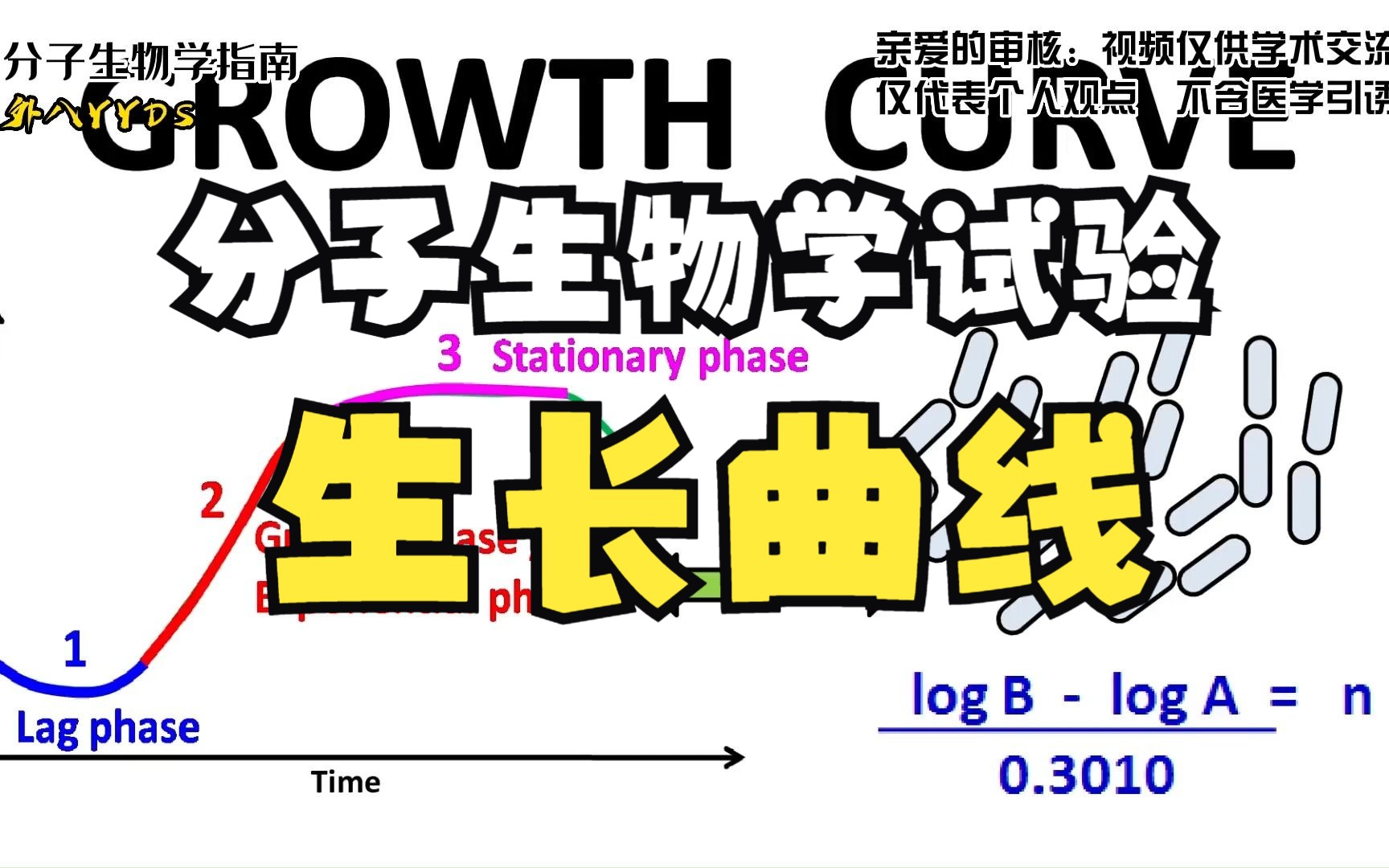 【分子生物学实验】细菌生长曲线哔哩哔哩bilibili