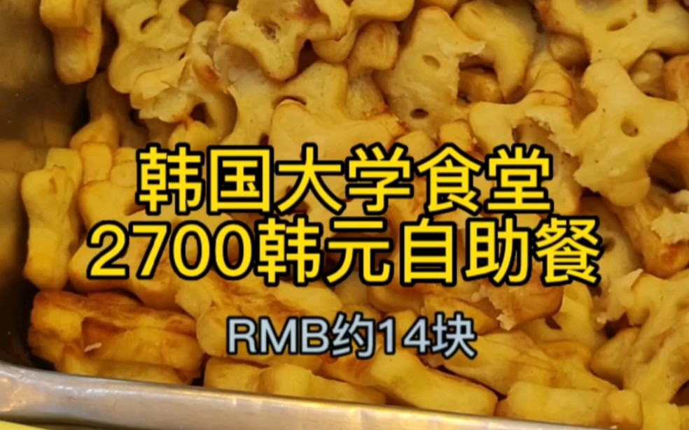 韩国大学食堂2700韩元自助餐都吃啥,今天吃的简单点,吃完带大家去赶个海.哔哩哔哩bilibili