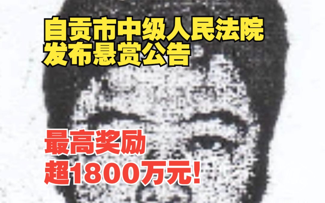 最高奖励超1800万元!自贡市中级人民法院发布悬赏公告哔哩哔哩bilibili