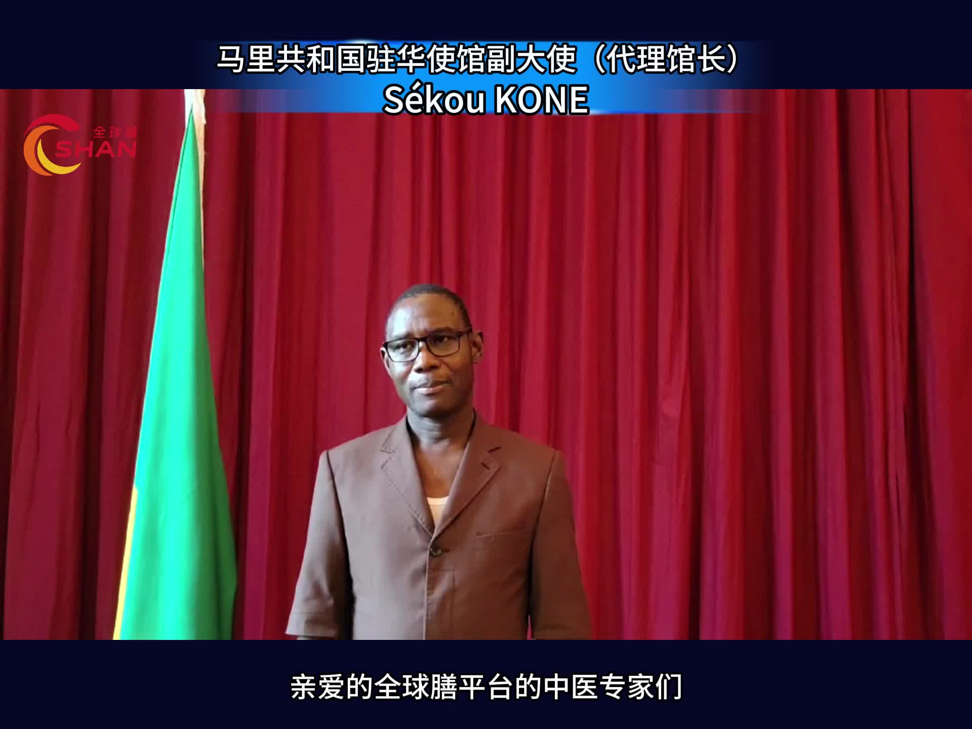 马里共和国驻华使馆副大使(代理馆长)