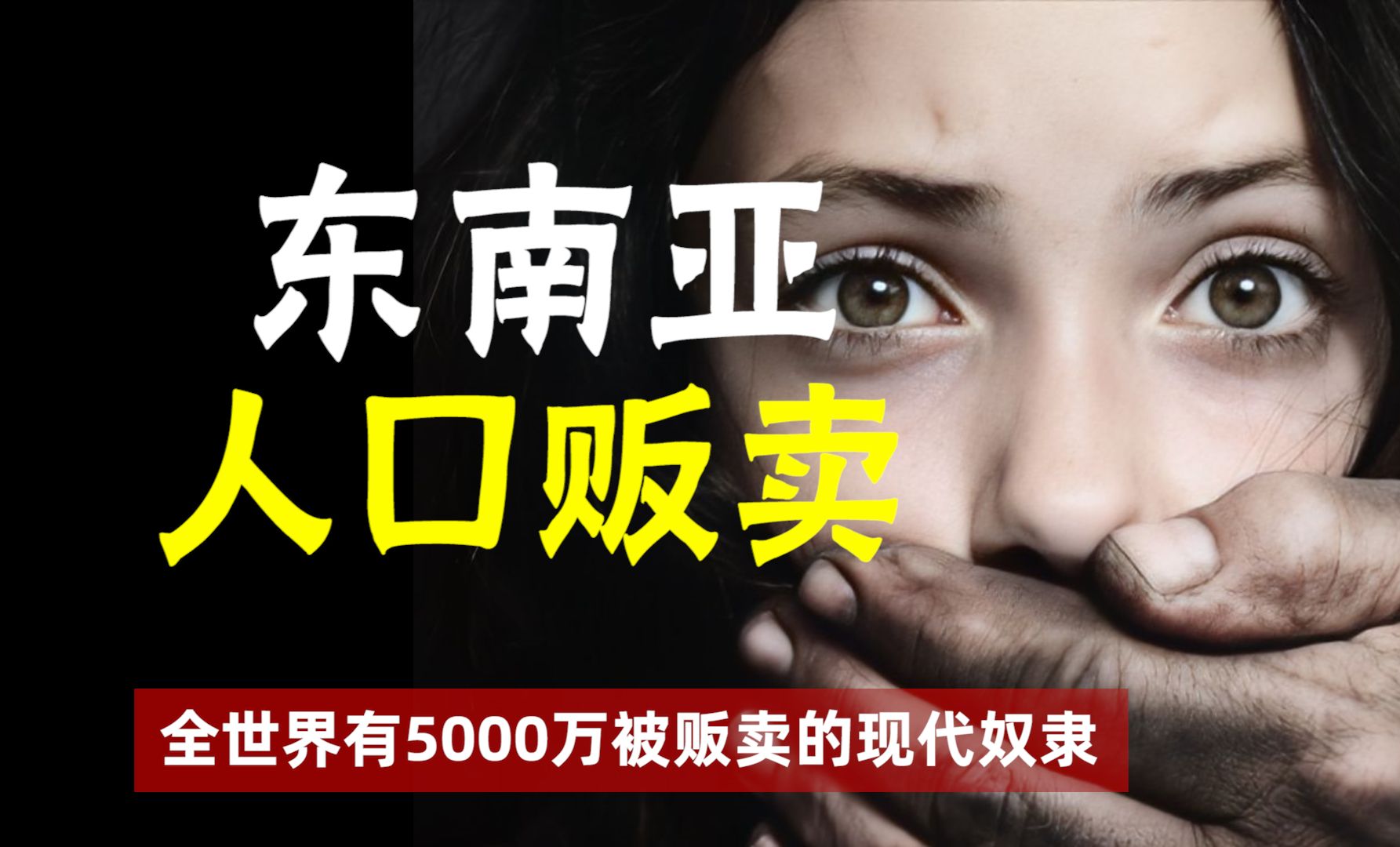 揭秘东南亚人口贩卖: X奴、血牛、奴工,每年600万人凭空消失哔哩哔哩bilibili