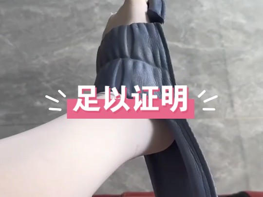 小蓝企鹅是世界上最小的企鹅哔哩哔哩bilibili