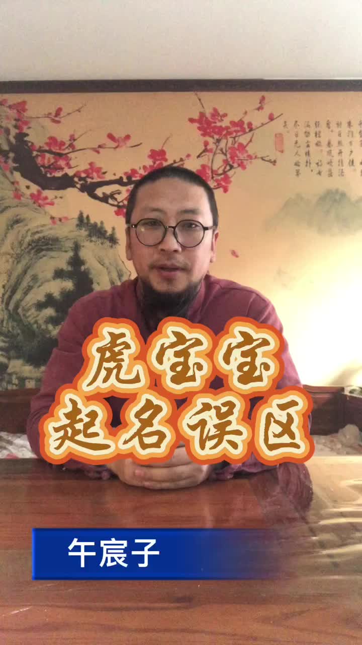 午宸子谈并不是所有虎宝宝起名都要用山林木等部首的字哔哩哔哩bilibili