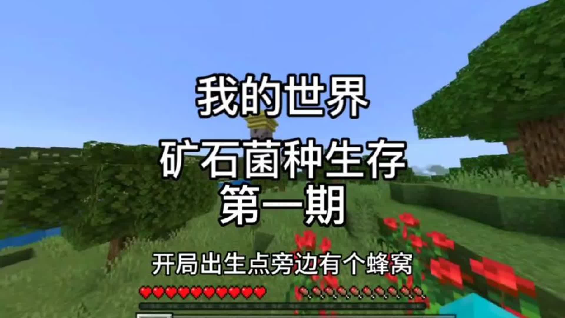 #我的世界 #矿石菌种 #minectaft 矿石菌种生存(1)哔哩哔哩bilibili我的世界实况解说