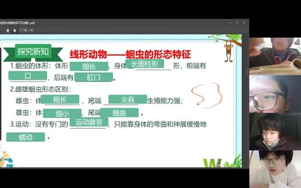 线形动物和环节动物哔哩哔哩bilibili