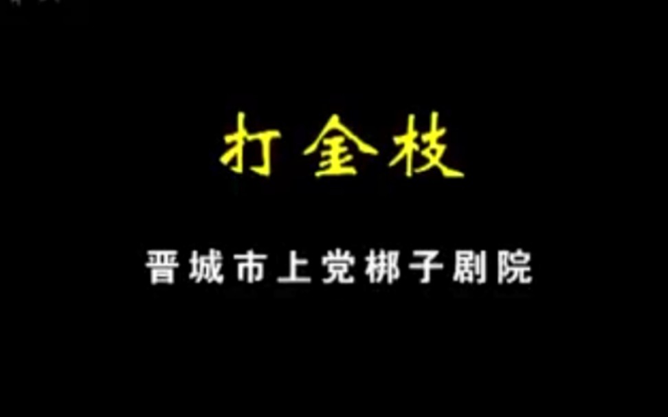 [图]【名剧欣赏】上党二黄 打金枝全剧 晋城市上党梆子剧院演出