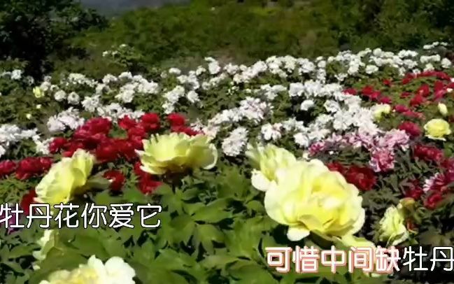 [图]卓依婷金曲 第16首《十八相送》