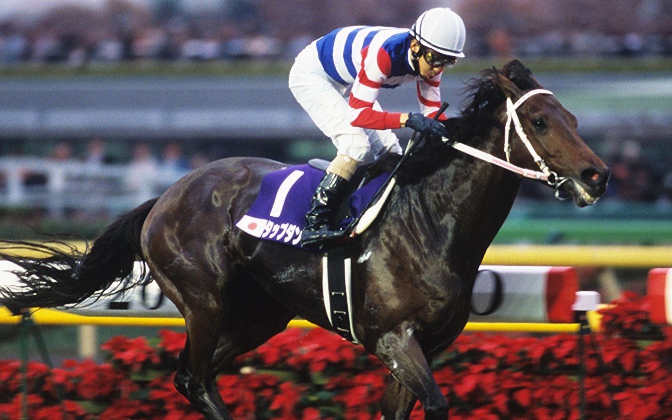 【名马】晚成自是大器,一人独舞