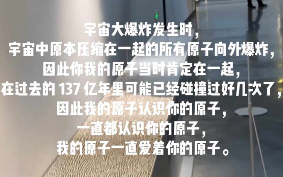 【看展】上海民生现代美术馆甘馆长带我们观展芬兰艺术家组合汤米ⷮŠ格伦德和佩特里ⷥ𐼨‹南的展览《随物生心》哔哩哔哩bilibili