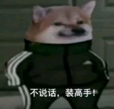 不说话装高手.jpg.