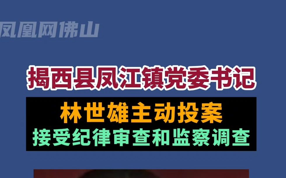 揭西县凤江镇党委书记李世雄主动投案哔哩哔哩bilibili